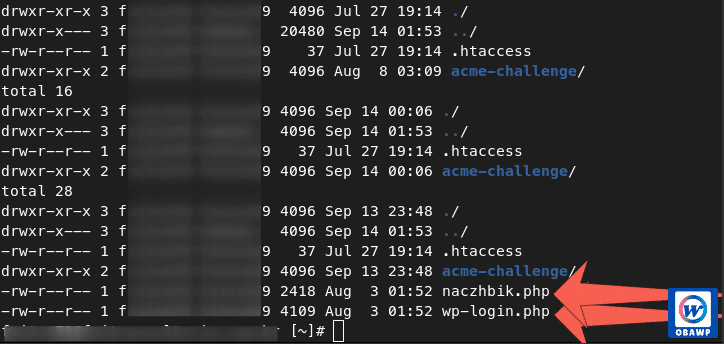 Desinfecção e restauração de 12 sites com malware